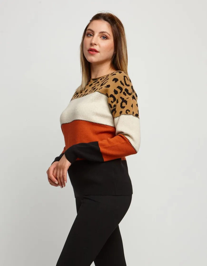 Maglione jacquard a righe animalier